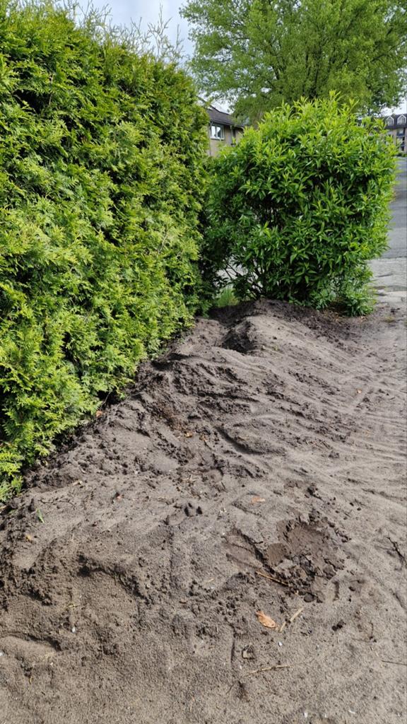 Gratis zwart zand uit tuin in a Mierlo, 1-2 kuub, Ophalen, Overige typen