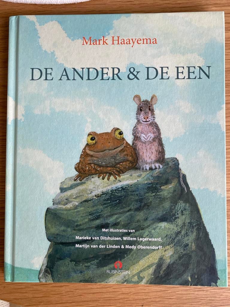 De Ander & De Een - Mark Haayema, Boeken, Ophalen of Verzenden, Gelezen, Fictie algemeen