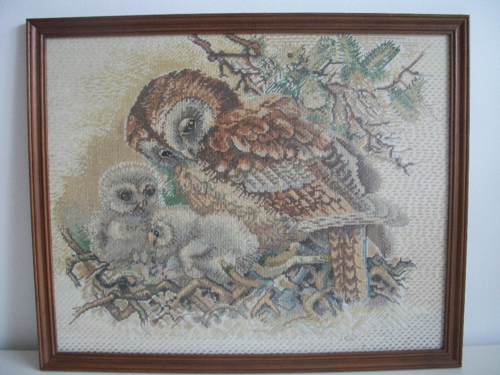Borduurwerk: Uil met Kuikens op Nest in Lijst 49 x 40 - zgan, Minder dan 50 cm, Oorspronkelijke maker, Overige typen, Ophalen of Verzenden