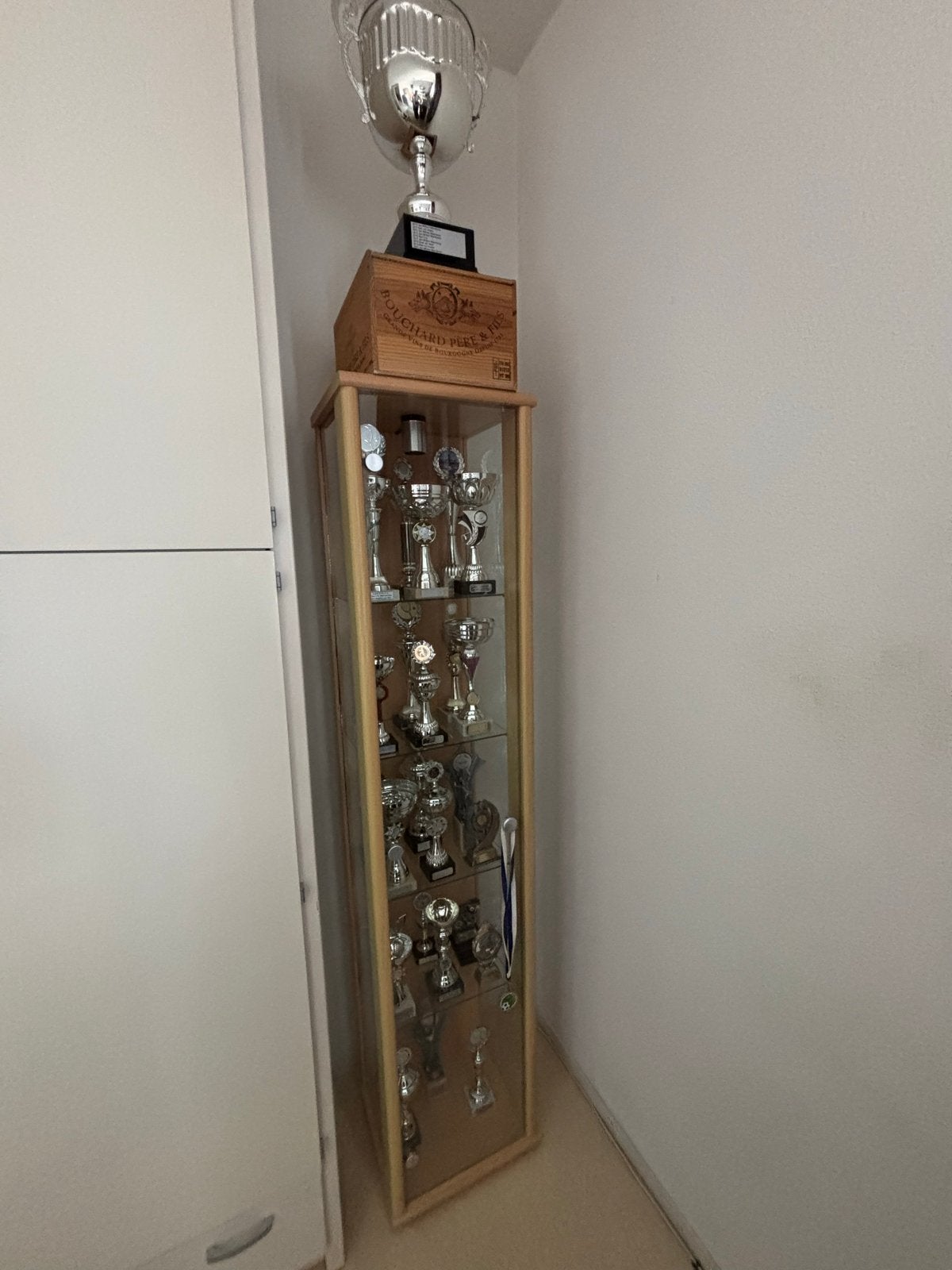 Twee vitrinekastjes met verlichting, één zonder deurtje, Huis en Inrichting, Kasten | Vitrinekasten, Ophalen, Minder dan 50 cm