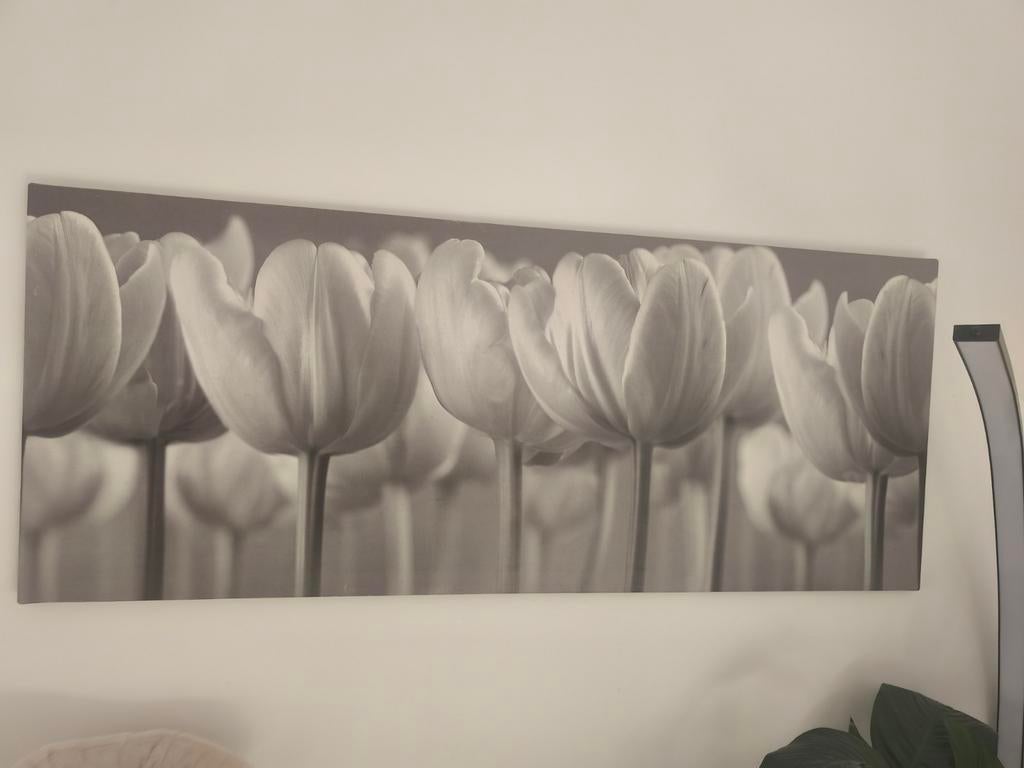 Schilderij Grijs-Wit Tulpen Canvas 140x56cm, Antiek en Kunst, Ophalen of Verzenden