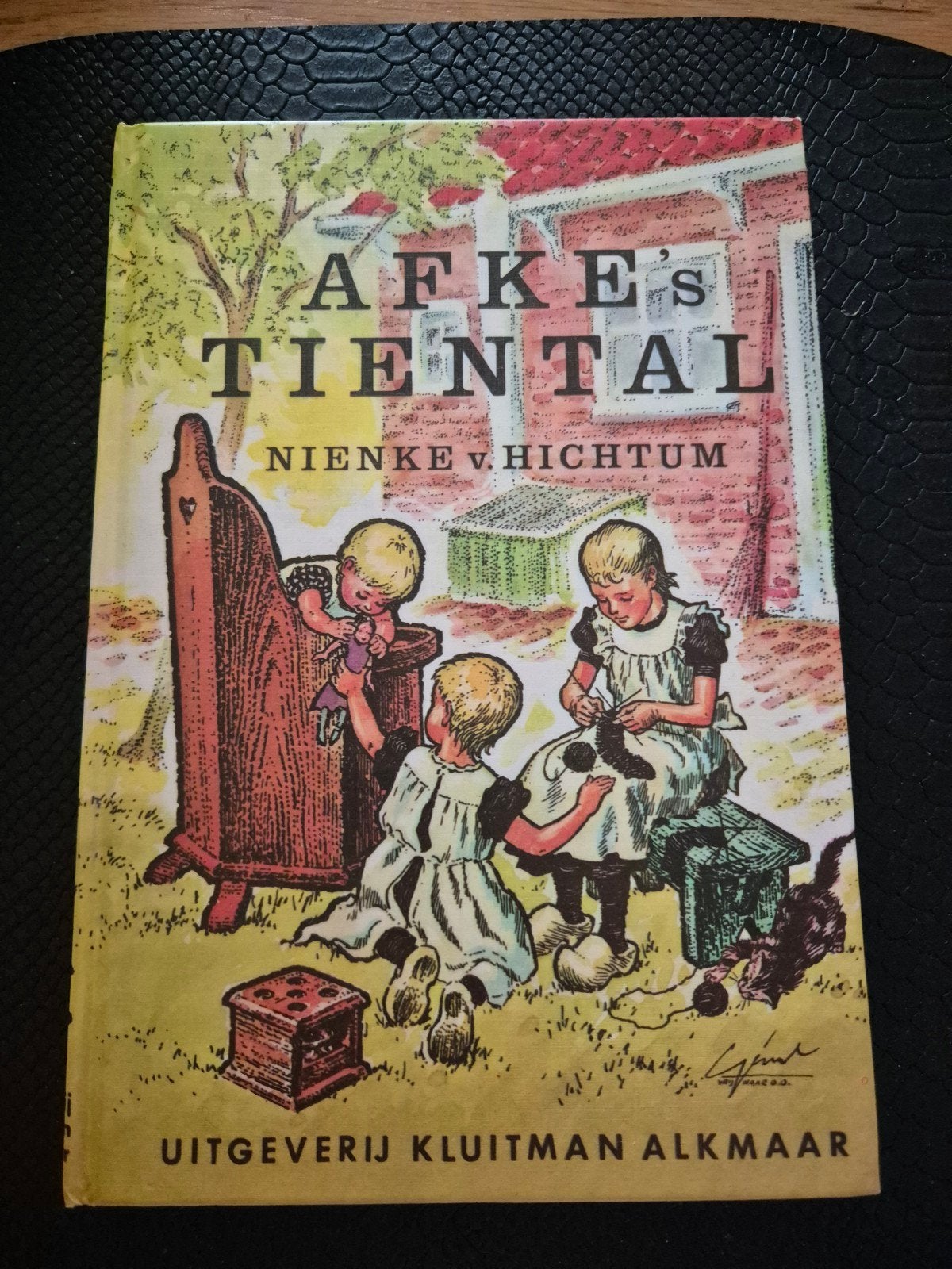 afke's tiental, Ophalen of Verzenden, Zo goed als nieuw, Nienke van Hichtum