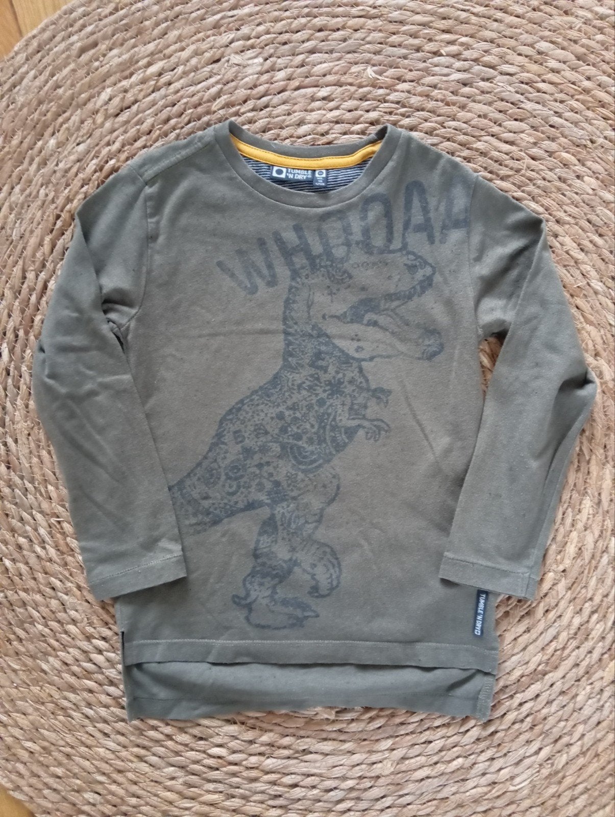 Tumble 'n Dry longsleeve groen met dinoprint - Maat 110, Kinderen en Baby's, Kinderkleding | Maat 110, Ophalen of Verzenden, Tumble 'n Dry