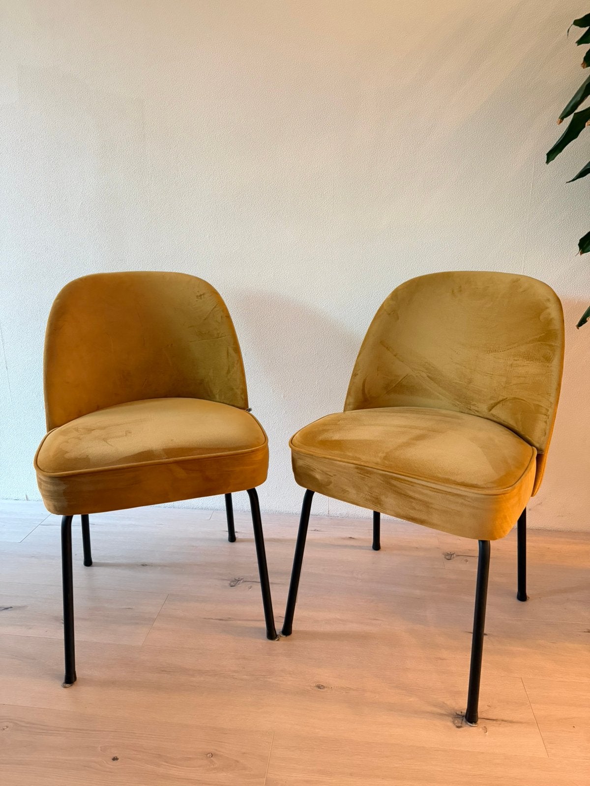 2x Woood/Be Pure Home Vogue eetkamerstoelen velvet okergeel, Ophalen, Zo goed als nieuw, Overige kleuren, Twee