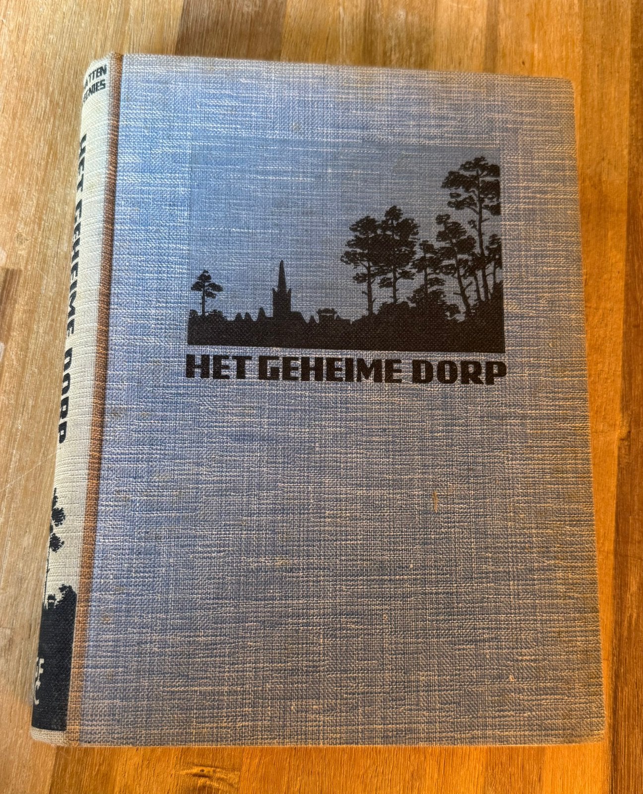 Het geheime dorp H.J. van Nijnatten-Doffegnies, Ophalen of Verzenden, H.J. van Nijnatten-Doffegnies