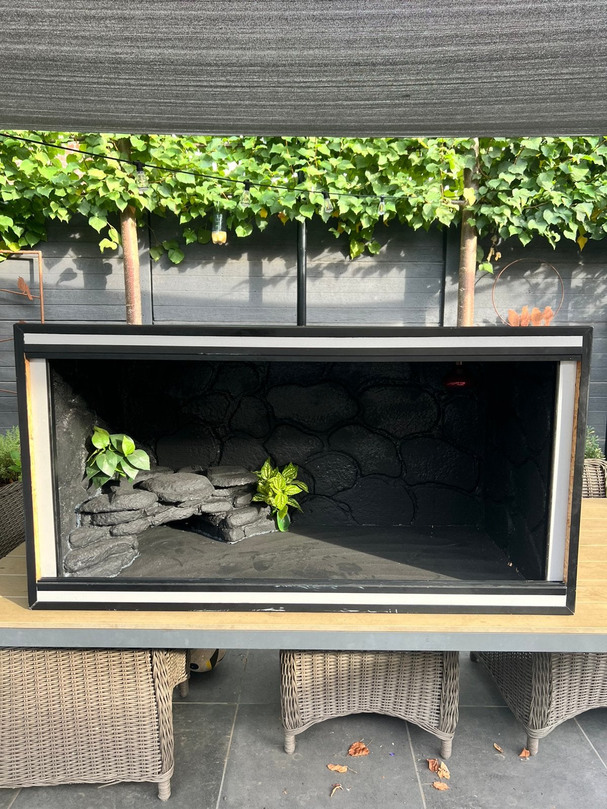 Groot custom terrarium in perfecte staat, Dieren en Toebehoren, Reptielen en Amfibieën | Toebehoren, Ophalen, Zo goed als nieuw