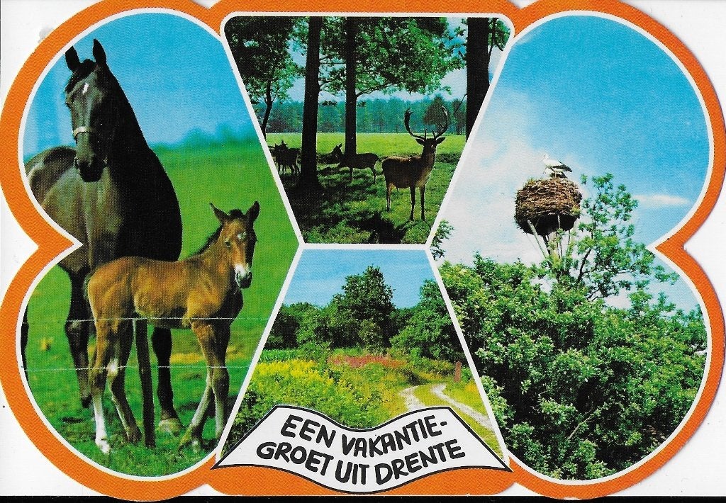 Kr2300 gelopen ansichtkaart een vakantie groet uit drente, Ophalen of Verzenden, 1980 tot heden, Gelopen