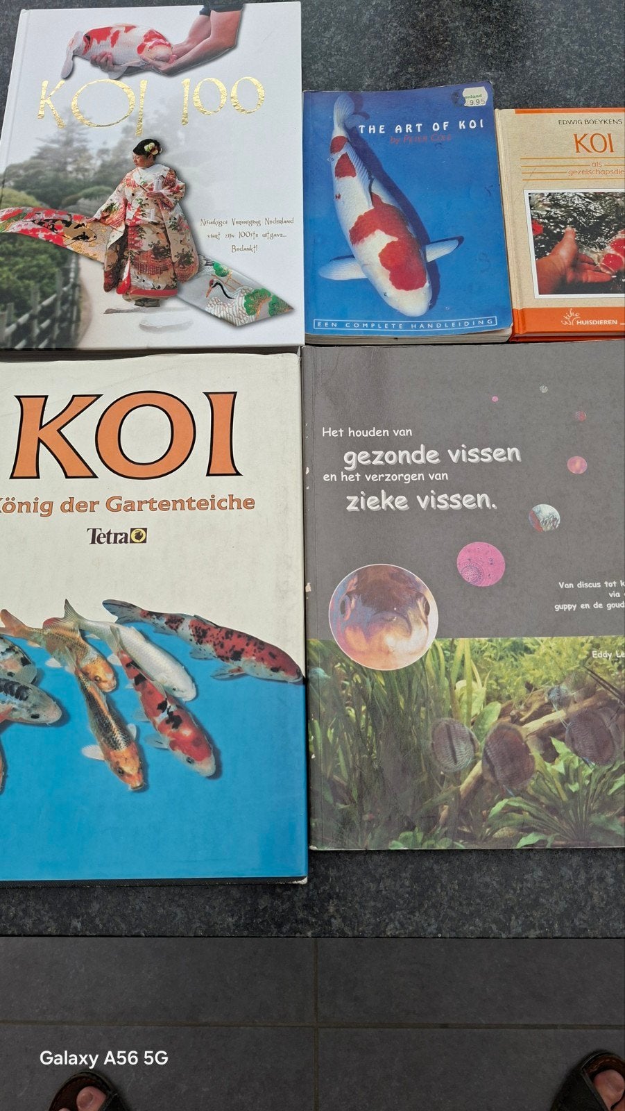 Tekoop, Mooie boeken voor Koi, Ophalen of Verzenden, Zo goed als nieuw