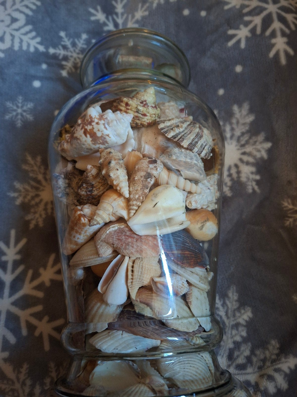 Glazen vaas met schelpen, Ophalen, Transparant, Inclusief decoratie, Glas