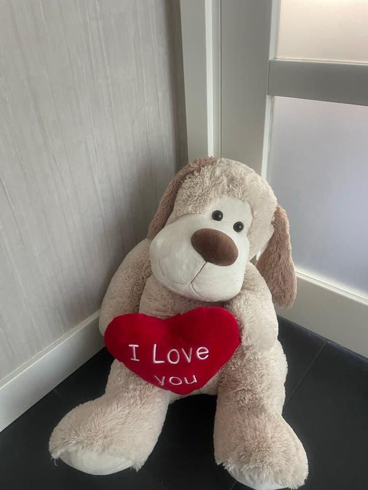 Grote knuffelhond met 'I Love You' hart, Kinderen en Baby's, Speelgoed | Knuffels en Pluche, Ophalen, Hond, Zo goed als nieuw