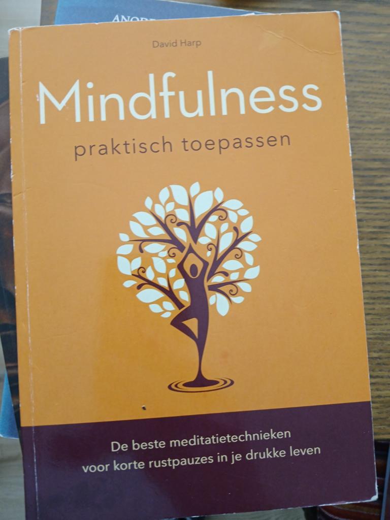 Mindfulness praktisch toepassen - David Harp, Gelezen, Meditatie of Yoga, David Harp, Ophalen of Verzenden
