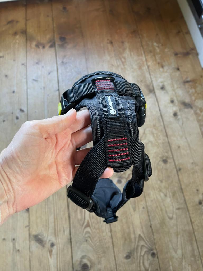 Honden tuig XL, Dieren en Toebehoren, Ophalen of Verzenden, Gebruikt, Hondenriem