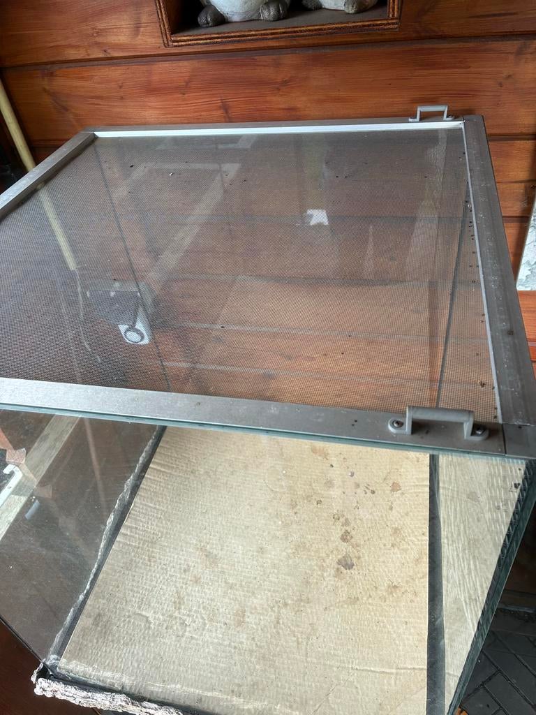 Mooi terrarium, Ophalen, Gebruikt, Terrarium of Paludarium
