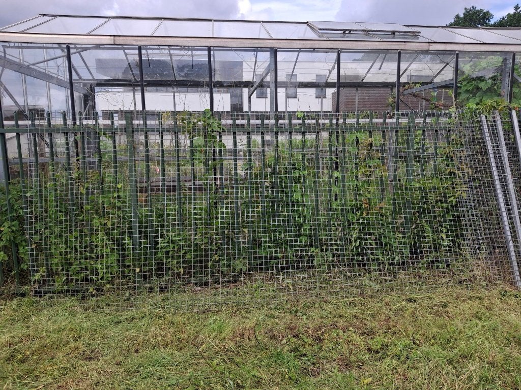 Hekwerk, Tuin en Terras, Tuinhekken en Hekwerk, Ophalen, Gebruikt, IJzer, Enkelstaafmat hekwerk