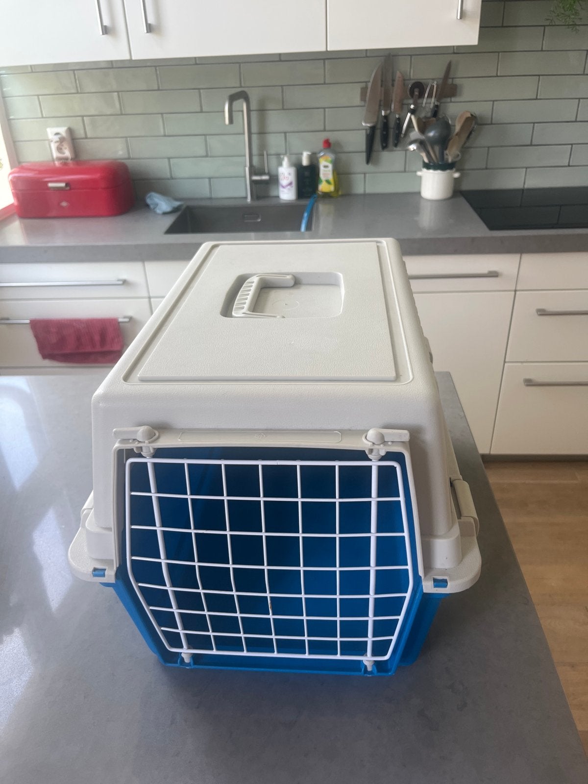 Gratis af te halen: kattenmandje!, Ophalen, Gebruikt