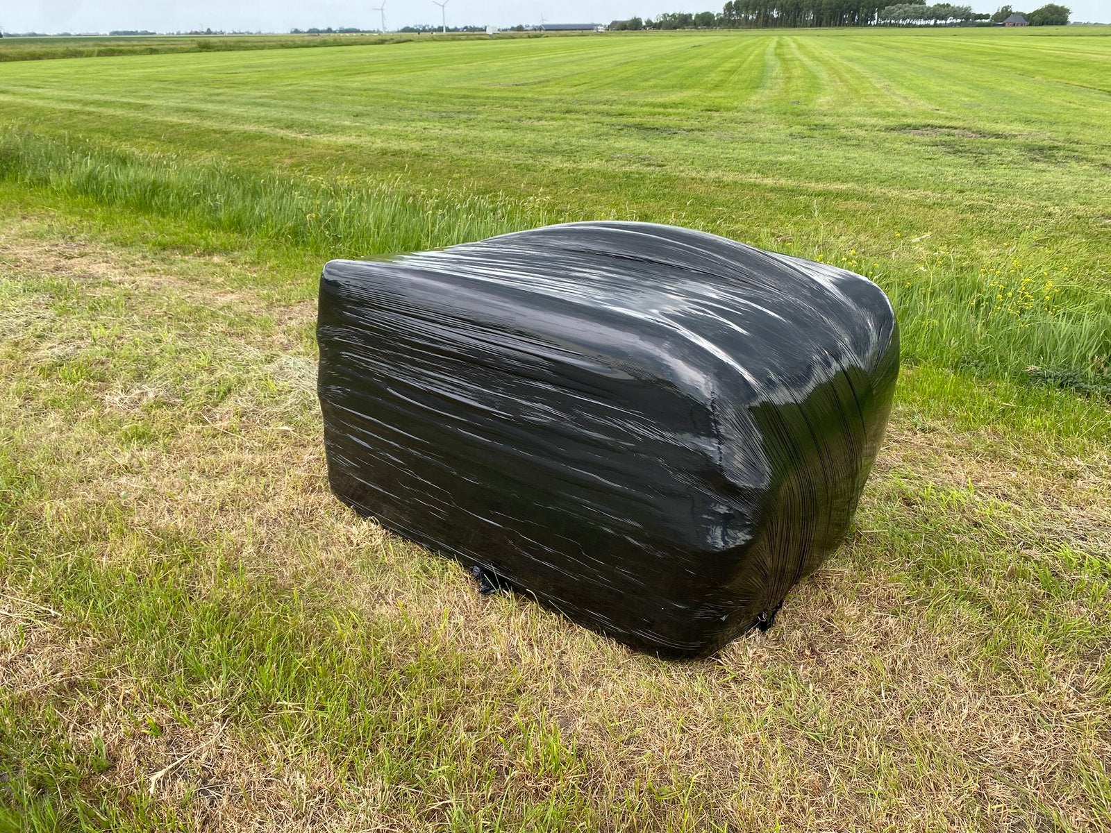 Vierkante balen hooi, Dieren en Toebehoren, Dierenvoeding, Ophalen of Verzenden