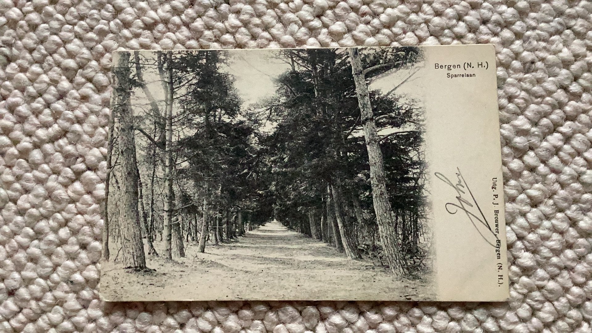 Ansichtkaart Bergen N.H. Sparrelaan 1907. 991, Ophalen of Verzenden, Voor 1920, Gelopen, Noord-Holland