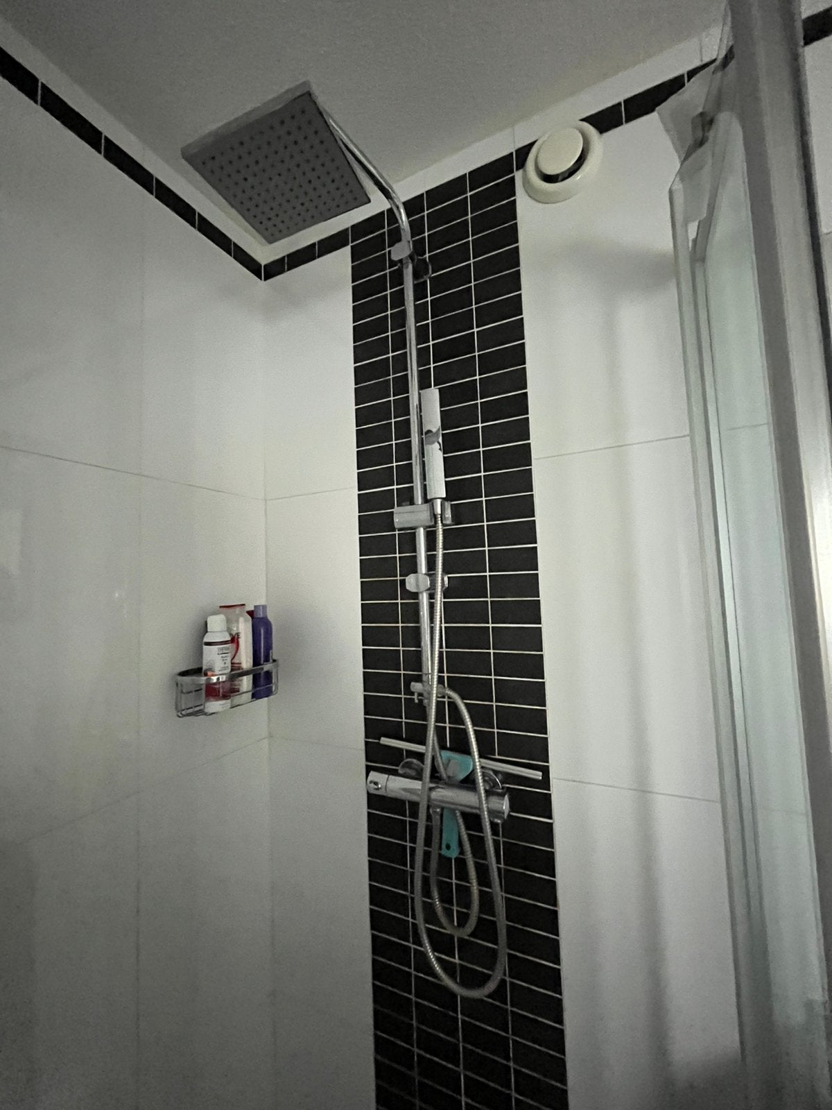 Regendouche met handdouche in chroom, Ophalen, Gebruikt