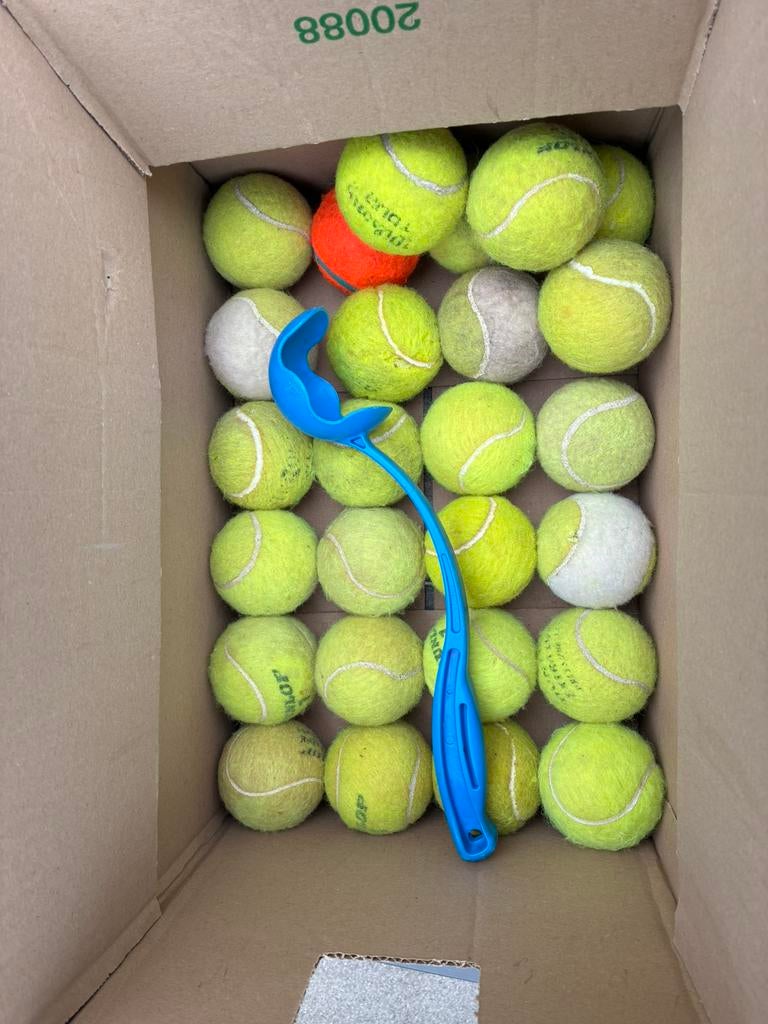 25 ballen en werpstick, Dieren en Toebehoren, Hondenspeelgoed, Ophalen of Verzenden, Zo goed als nieuw, Intelligentiespeelgoed