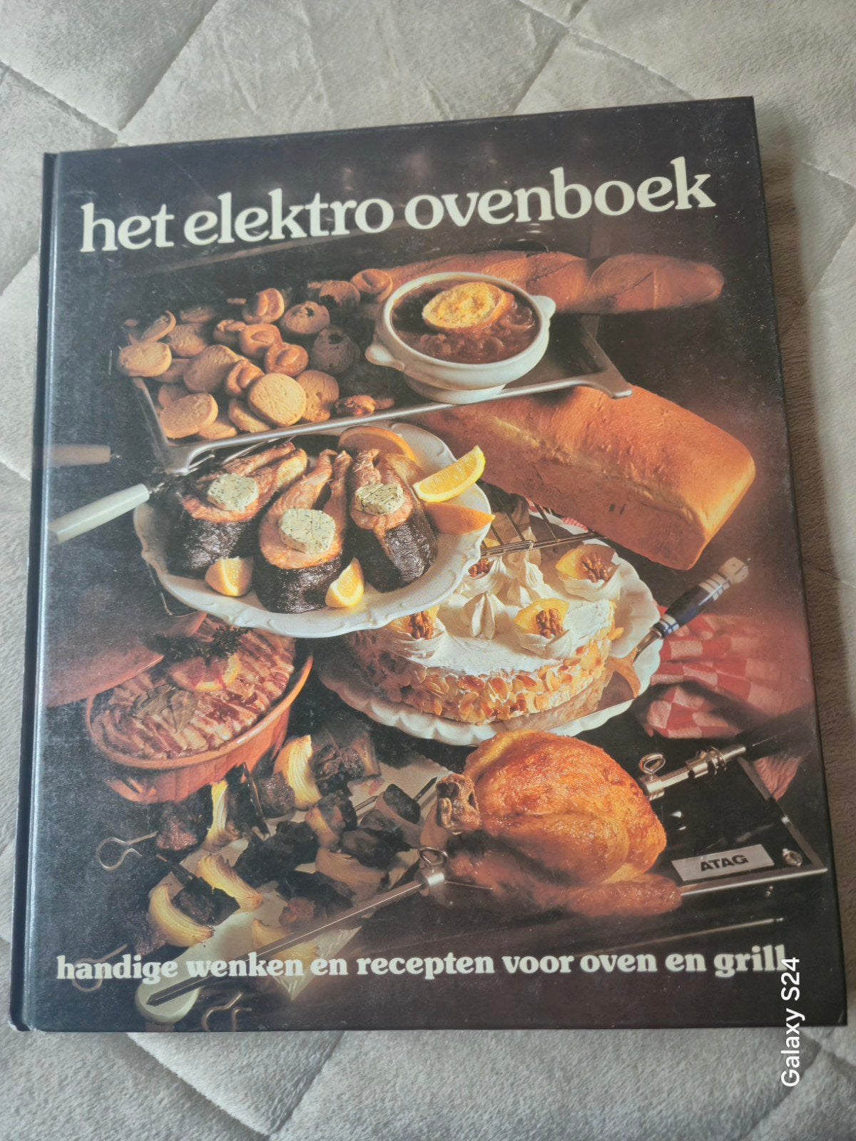 Het Elektro Ovenboek: Handige Wenken en Recepten, Hoofdgerechten, Ophalen of Verzenden, Overige gebieden, Onbekend