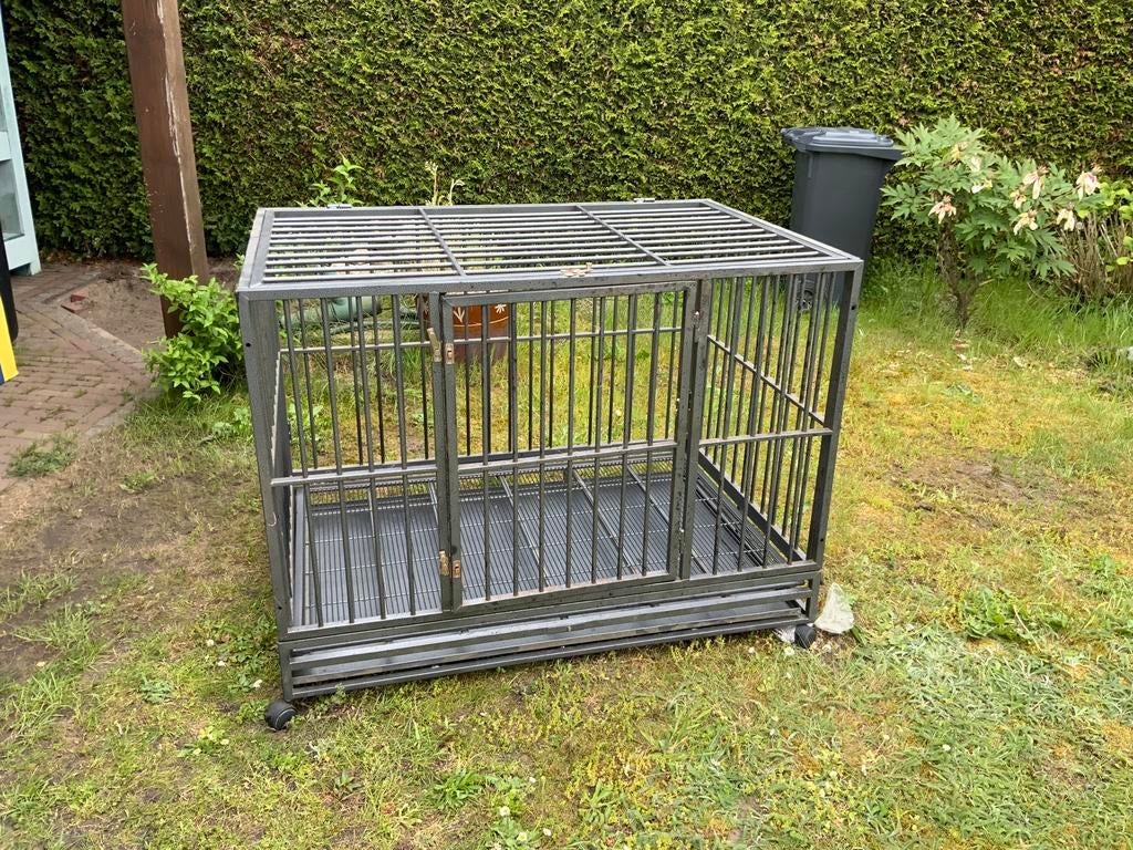 Hondenkooi, bench, Dieren en Toebehoren, Ophalen, 65 tot 100 cm, Hondenhok, 110 cm of meer