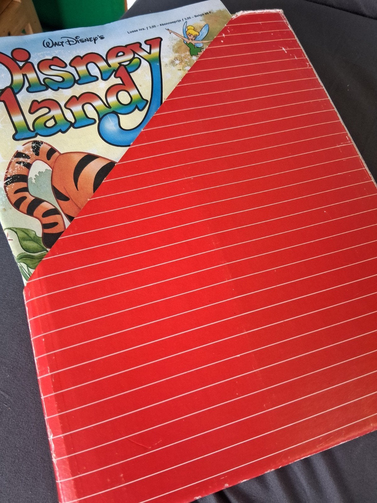 Walt Disney's Disneyland - Vintage Boek, Ophalen of Verzenden, Gelezen, Walt Disney, Sprookjes