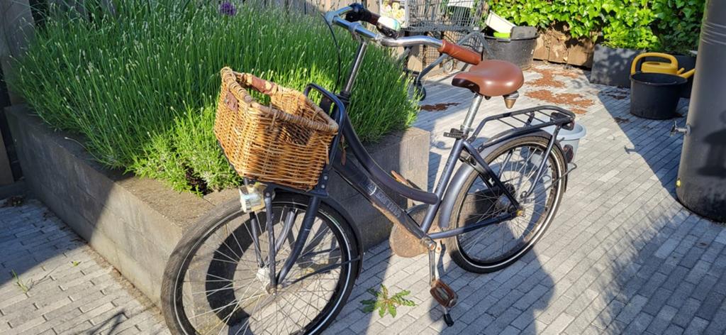Damesfiets met gebruikerssporen, Fietsen en Brommers, Fietsen | Dames | Damesfietsen, Terugtraprem, Ophalen, Overige merken, 53 tot 56 cm