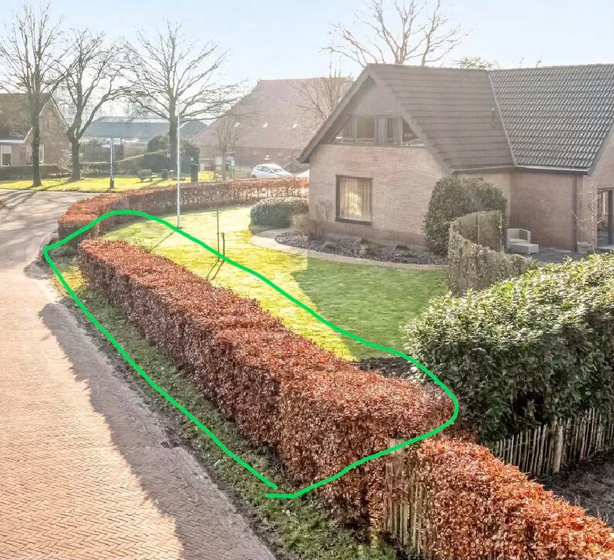 Beukenhaag +-100 cm hoogte, Tuin en Terras, Ophalen, Beukenhaag, Haag, 100 tot 250 cm