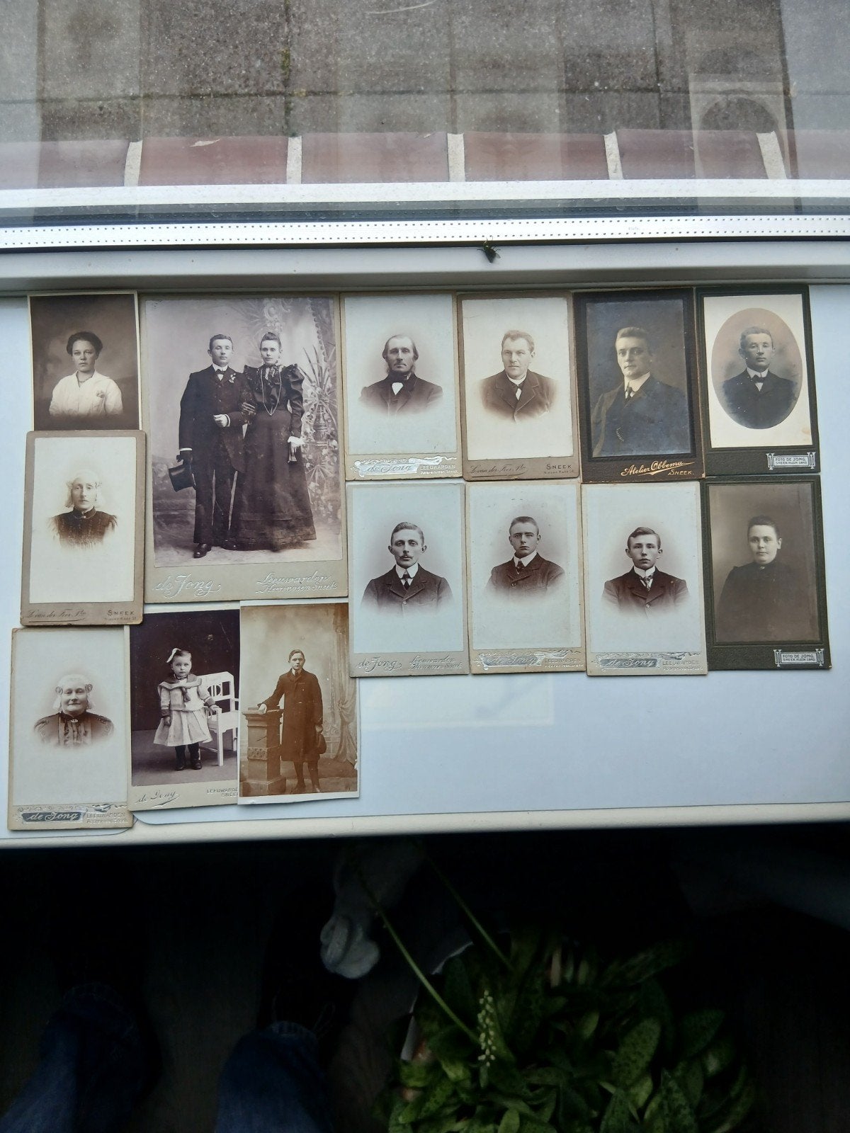 inwoners oosthem of omstreken begin 1900+_1920 wie zijn ze., Dieren en Toebehoren, Ophalen, Minder dan 75 cm, Kooi, Minder dan 60 cm