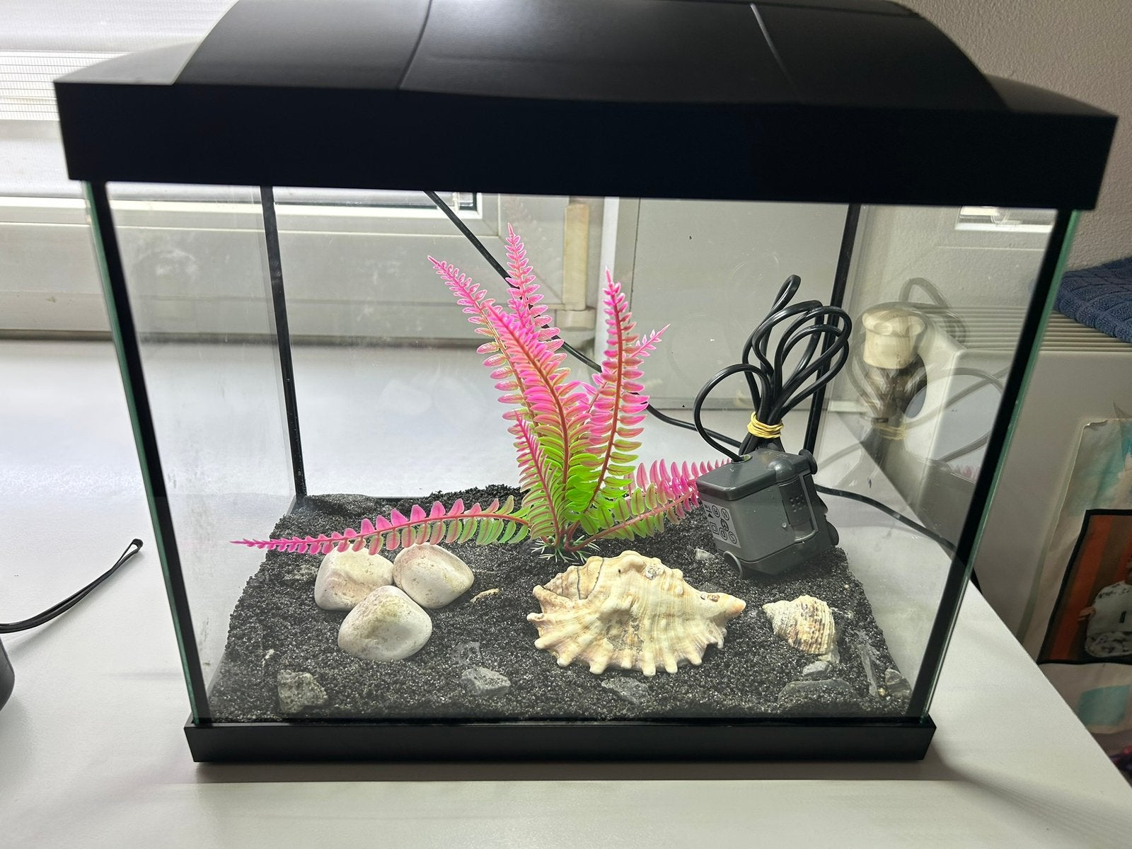 Aquarium, Dieren en Toebehoren, Ophalen, Zo goed als nieuw, Leeg aquarium