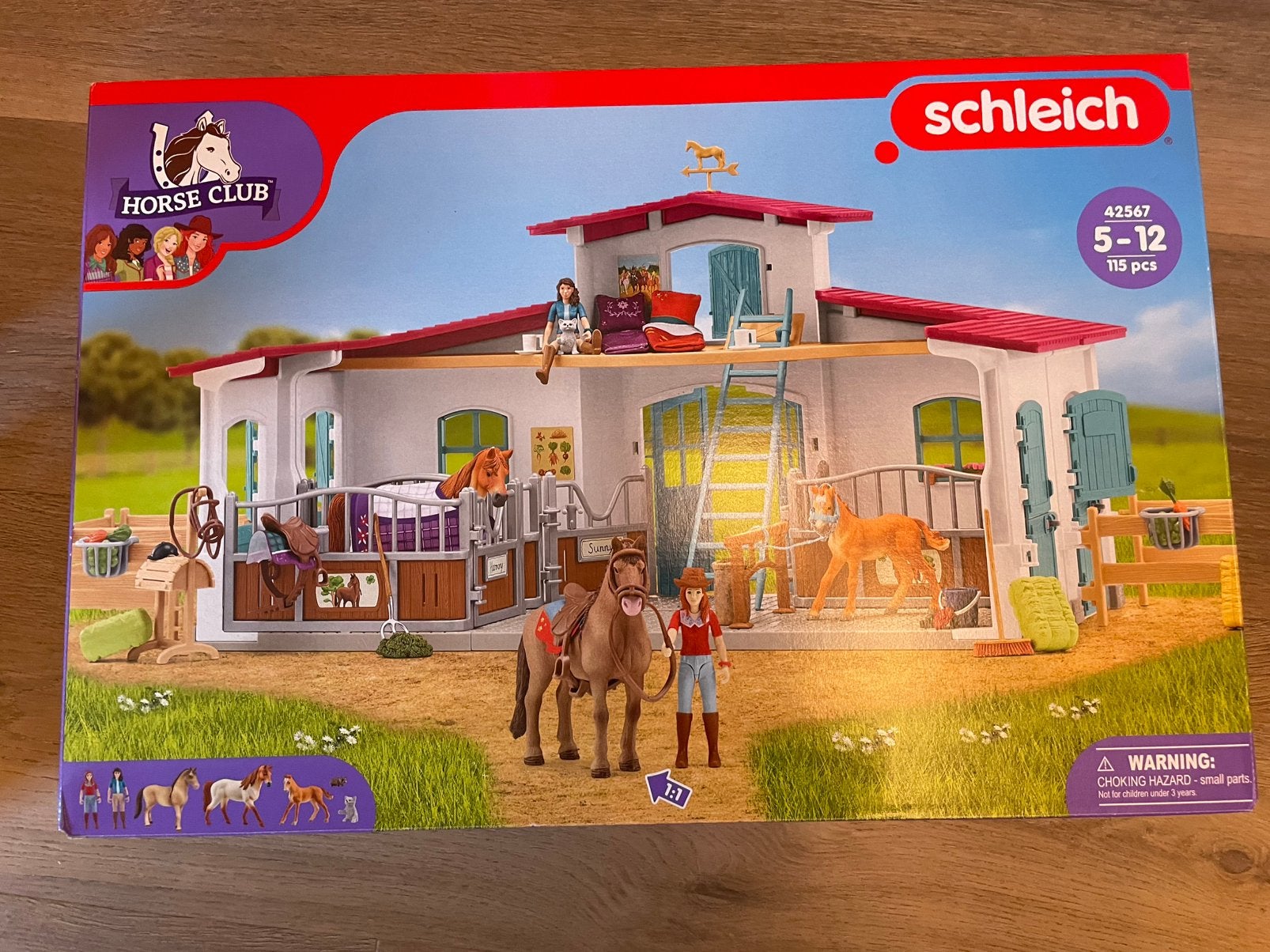 schleich 42567 HORSE CLUB - Manege zgan, Ophalen of Verzenden, Zo goed als nieuw, Jongen of Meisje