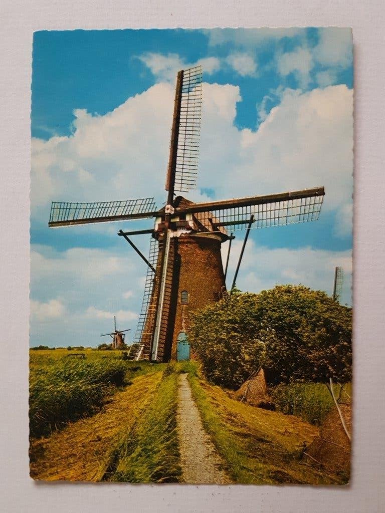 Ansichtkaart Watermolen te Kinderdijk Molen Windmolen, Ophalen of Verzenden, 1960 tot 1980, Ongelopen, Noord-Brabant
