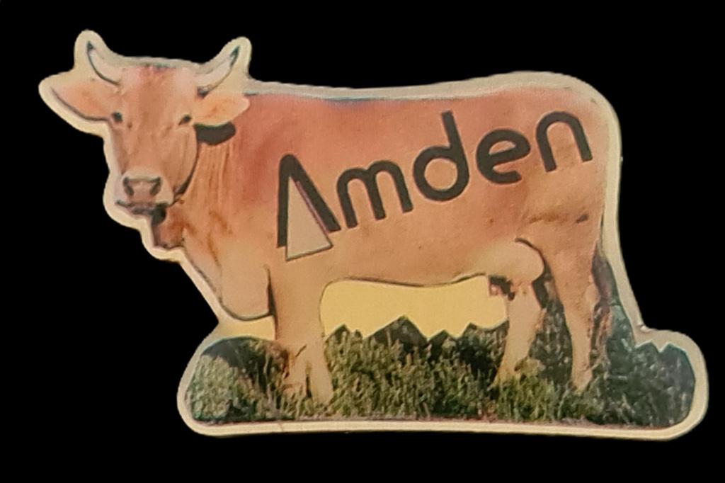 Amden Zwitserland pin, Verzenden, Nieuw, Transport, Speldje of Pin