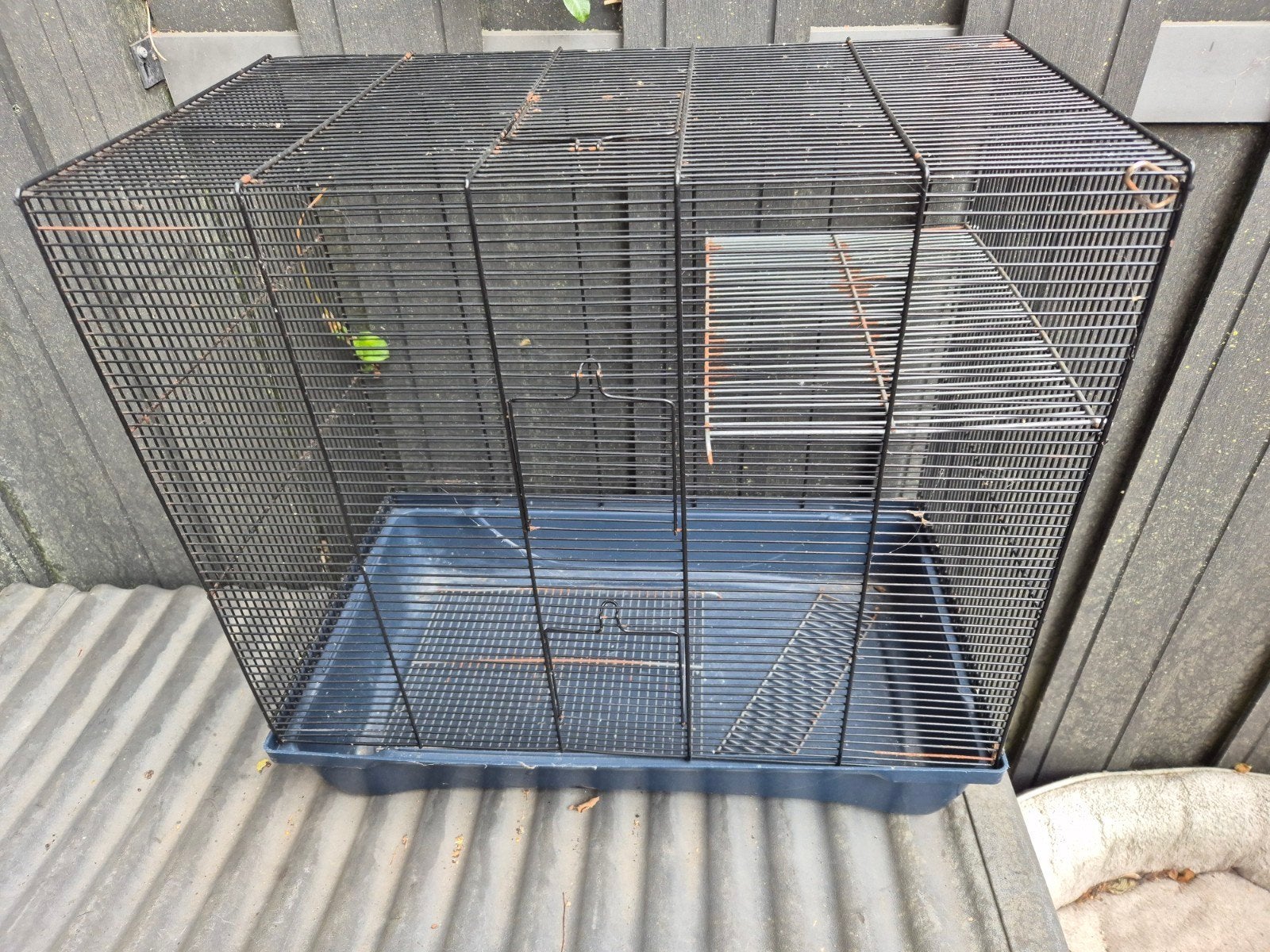 Hamsterkooi, Dieren en Toebehoren, Knaagdieren en Konijnen | Hokken en Kooien, Kooi, Gebruikt, Minder dan 75 cm, Muis