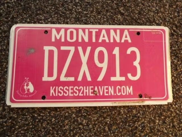 Kentekenplaat licenseplate Montana Kisses2Heaven USA, Verzenden, Gebruikt, Auto's