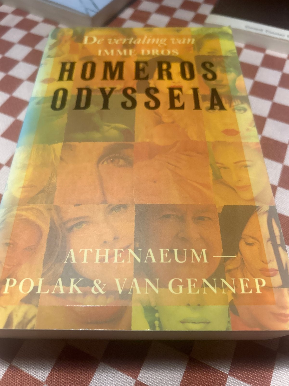 Homerus Odysseeia - De vertaling van Imme Dros, Boeken, Ophalen of Verzenden, Gelezen, Nederland