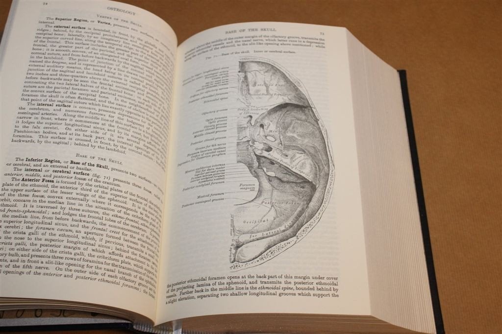 Gray’s Anatomy — Luxe Facsimile met Illustraties, Verzenden, Zo goed als nieuw, Natuurwetenschap