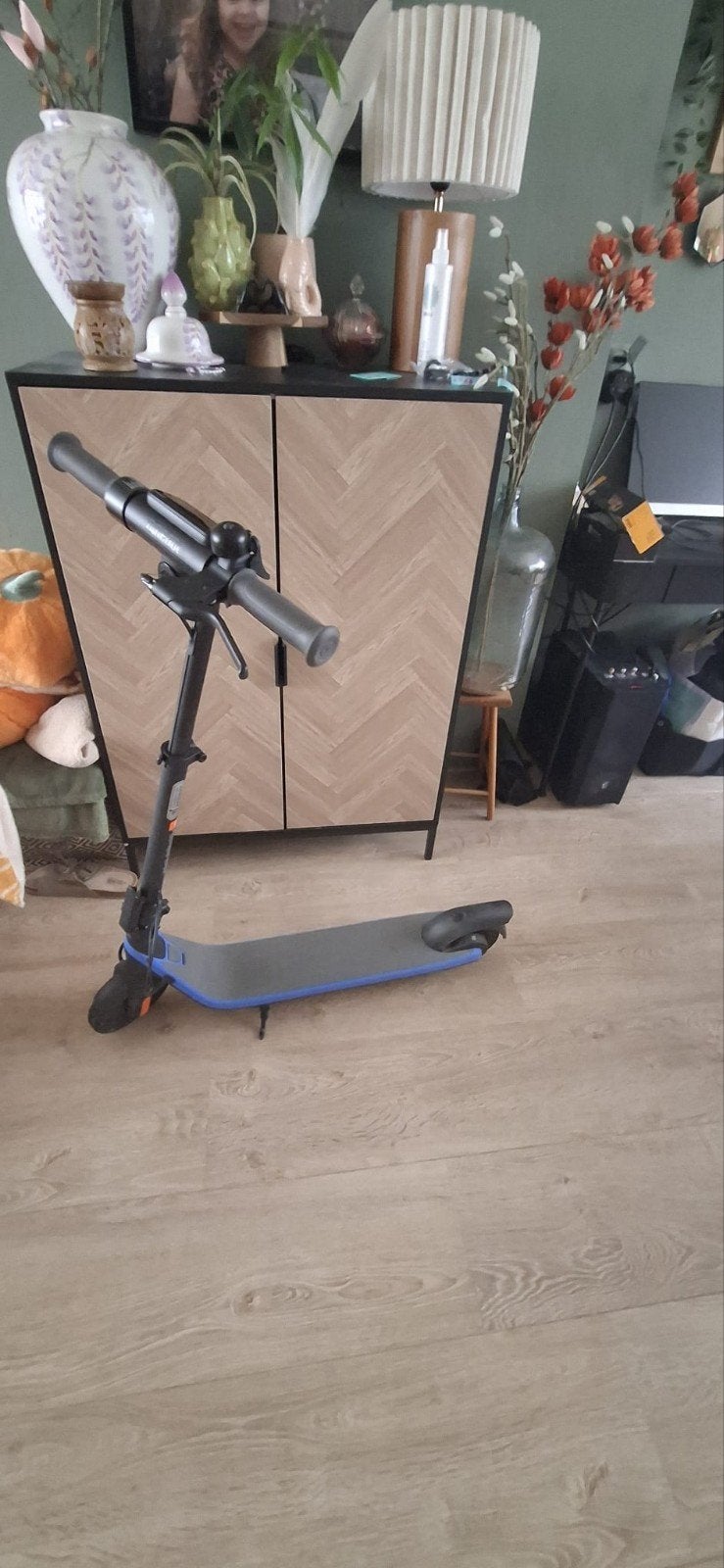 segway c2 pro kick scooter estep, Ophalen, Elektrische step (E-scooter)
