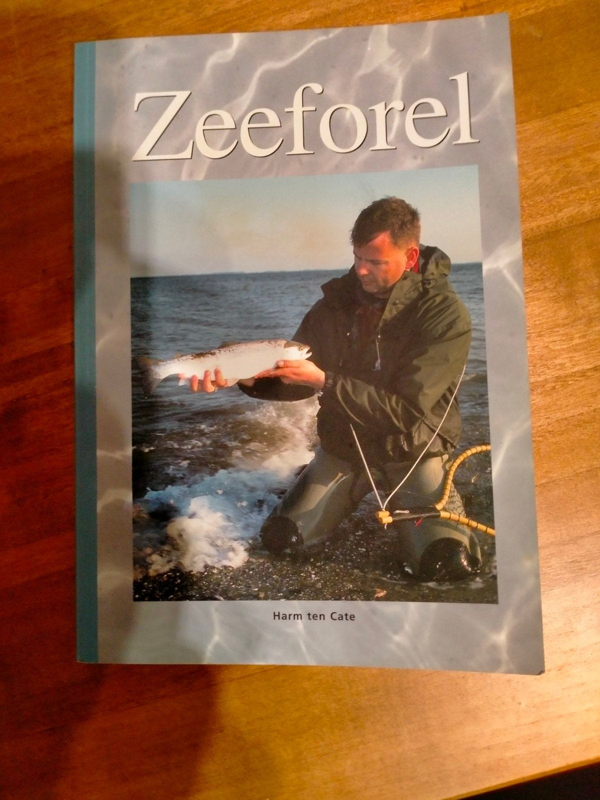 vliegvisboek, Ophalen of Verzenden, Overige typen