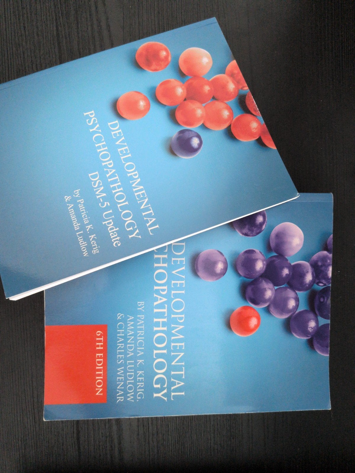 Developmental Psychopathology DSM-5 Update & 6th Edition, Boeken, Studieboeken en Cursussen, Gelezen, Ophalen of Verzenden, WO