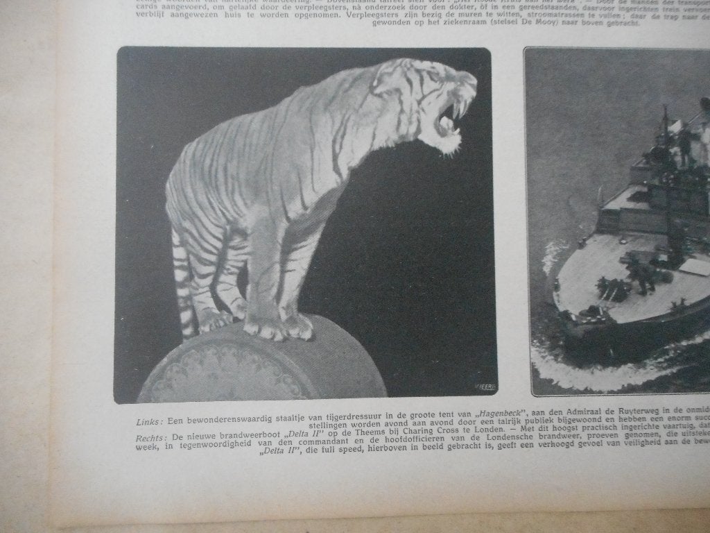 Circus Hagenbeck. Amsterdam. Tijgerdressuur. 1913., Verzamelen, Tijdschriften, Kranten en Knipsels, Ophalen of Verzenden, Voor 1920