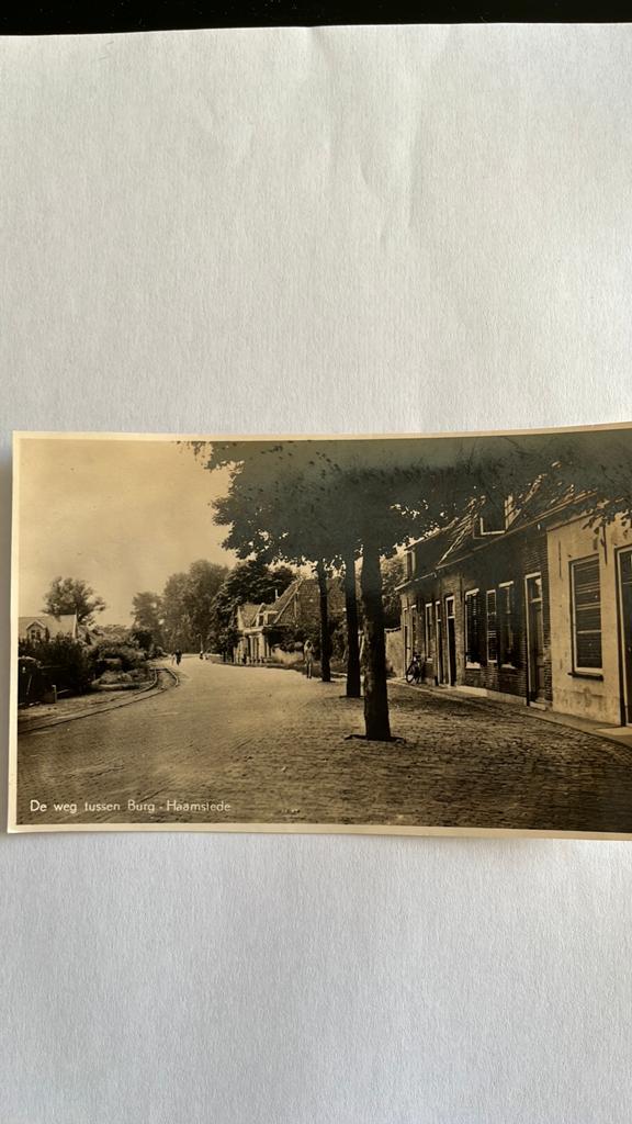 Ansichtkaart: De weg tussen Burg-Haamstede (burgh), Ophalen of Verzenden, Ongelopen