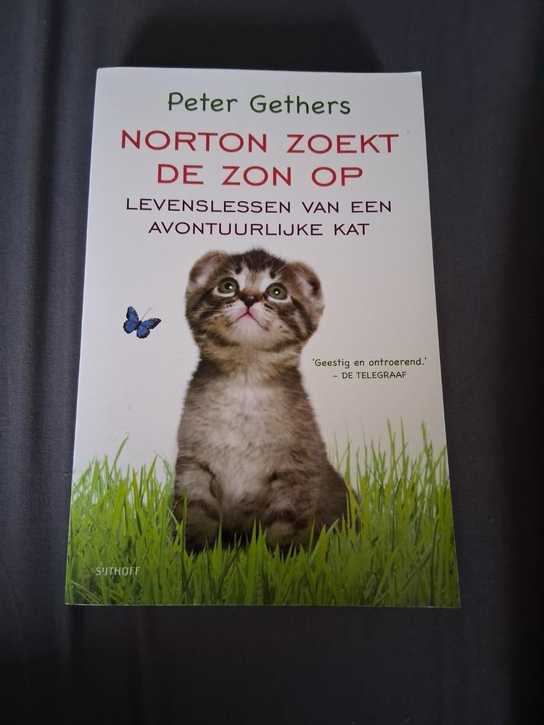 Peter Gethers - Norton zoekt de zon op, Ophalen of Verzenden, Zo goed als nieuw, Peter Gethers