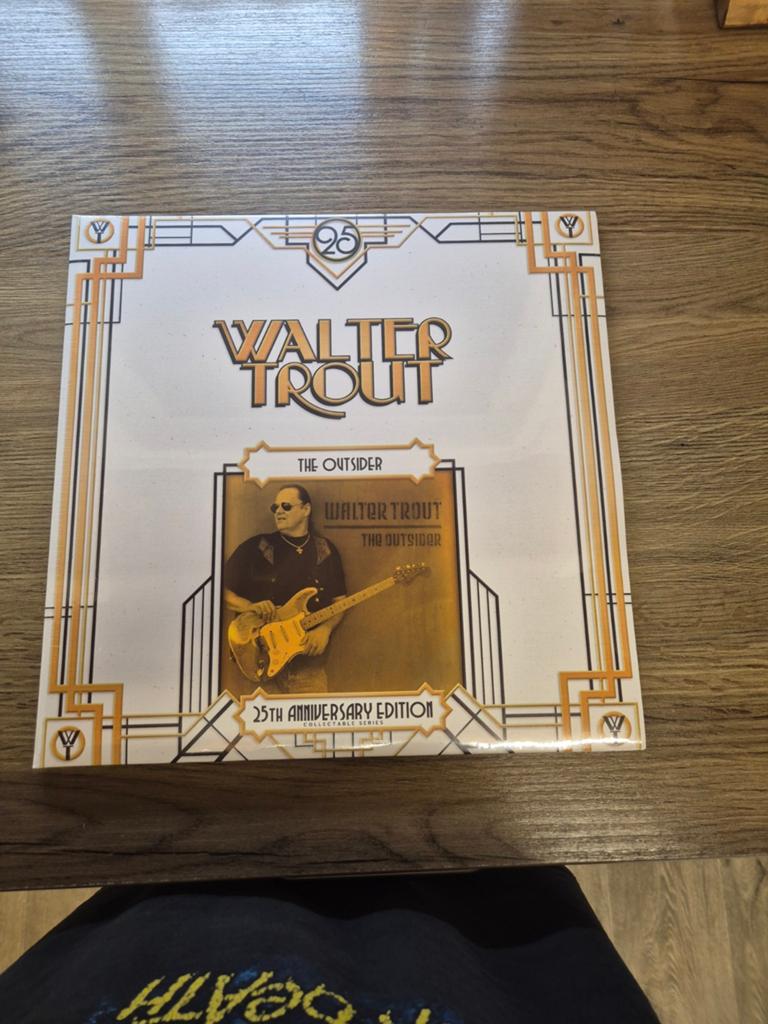 Te koop dubbel lp walter trout. The outsider., Ophalen, 1960 tot 1980, Zo goed als nieuw, 12 inch