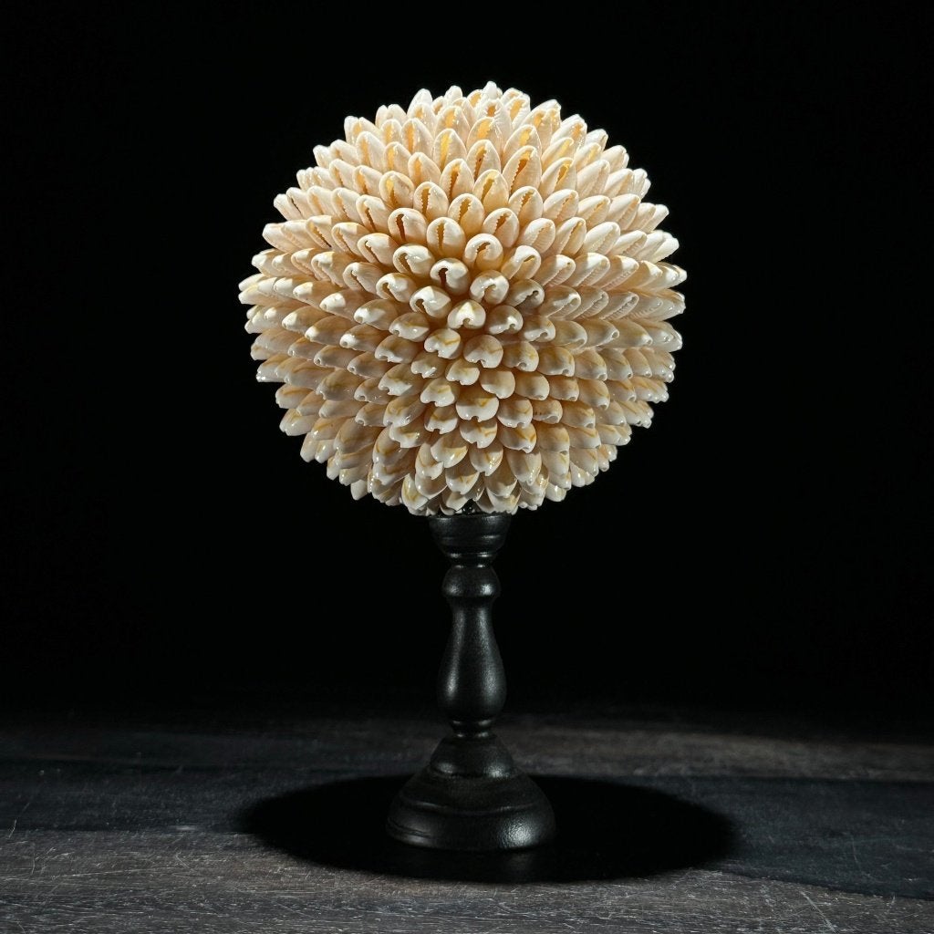 Schelpenbol, Ophalen of Verzenden, Overige typen