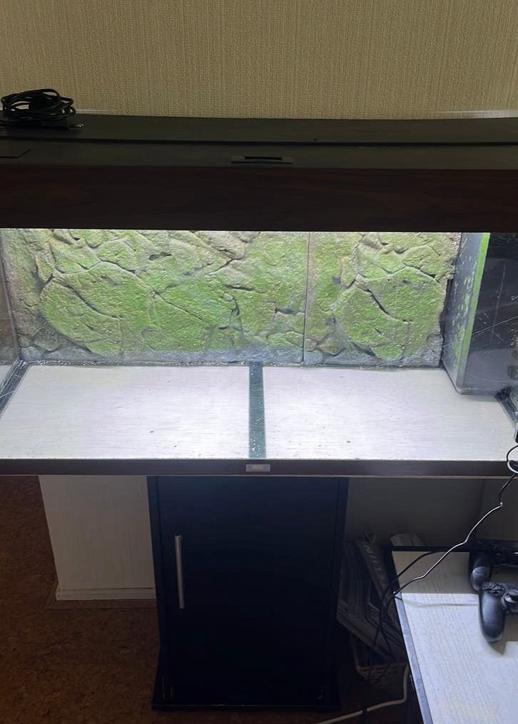 Aquarium juwel 240 met onderkast, Ophalen, Gebruikt, Leeg aquarium, Inclusief deksel