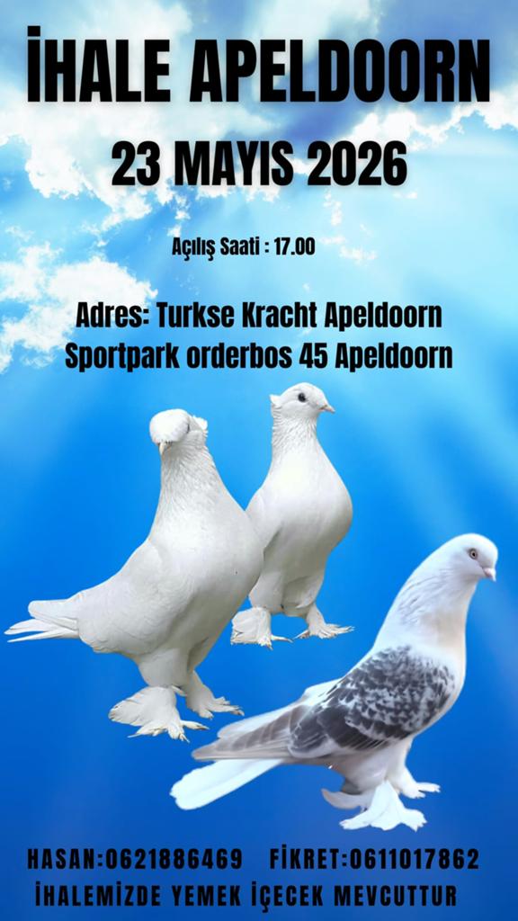 Ihale, Dieren en Toebehoren, Vogels | Duiven