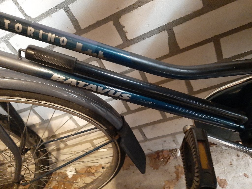 Batavus Torino, Fietsen en Brommers, Fietsen | Dames | Damesfietsen, Ophalen, Terugtraprem, Gebruikt, Versnellingen