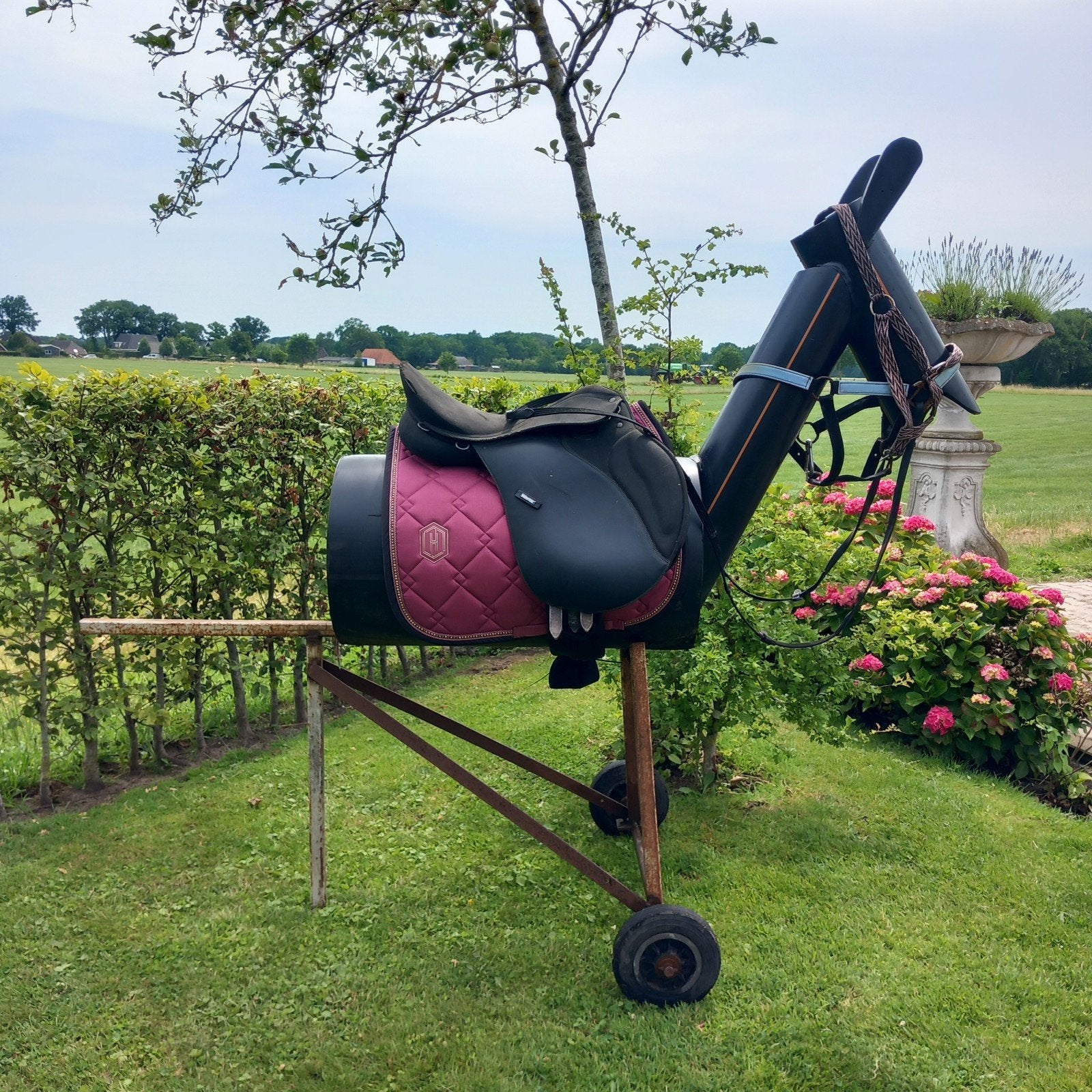 Het braafste paard van stal, Ophalen of Verzenden, Gebruikt