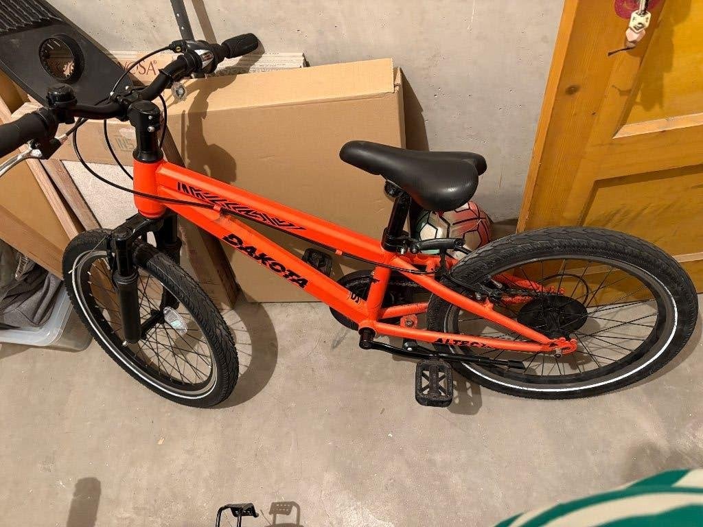 Kinderfiets 20 inch, Fietsen en Brommers, Fietsen | Kinderfietsjes, Ophalen, Gebruikt, 20 inch of meer